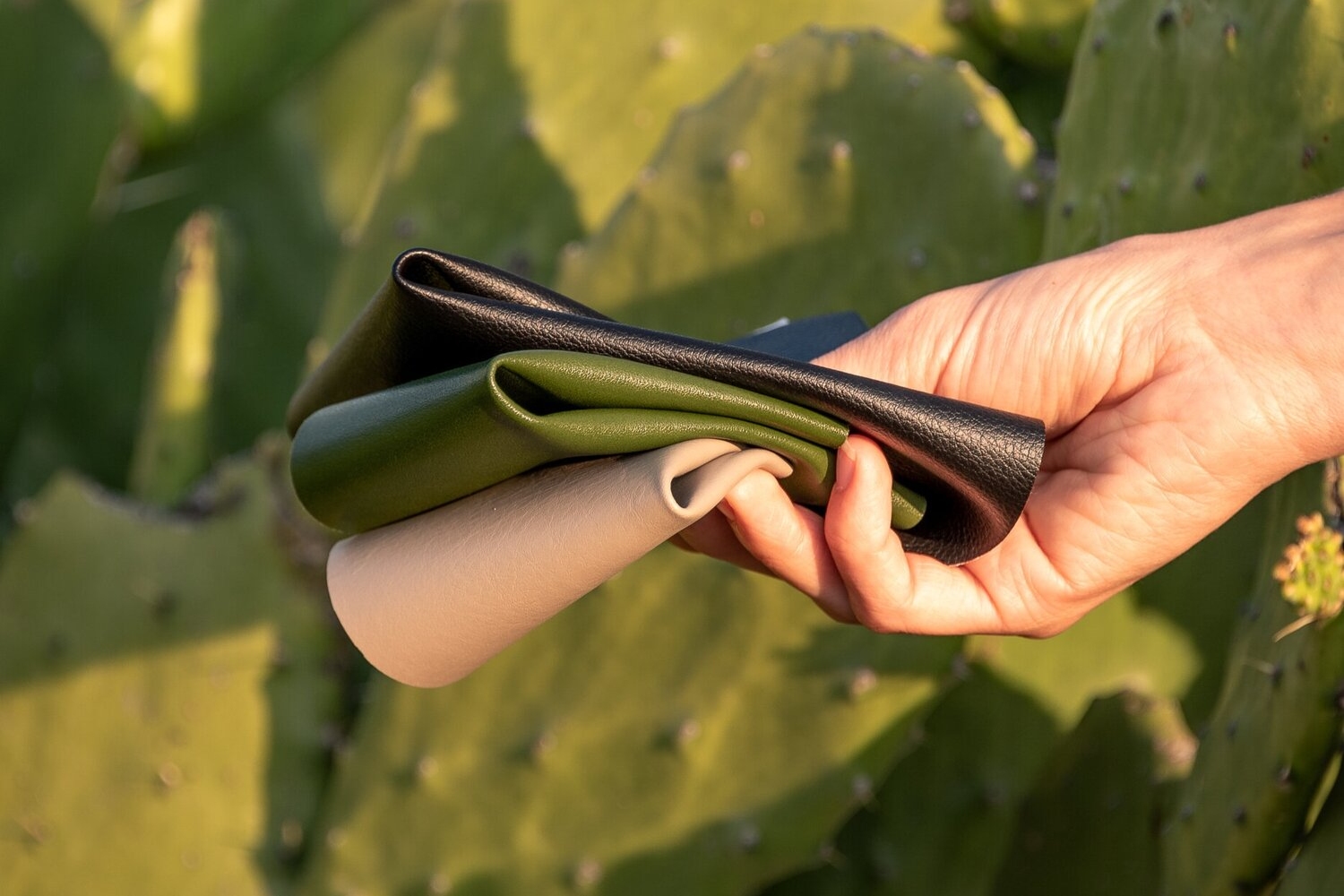 [Detalle de textura de piel de nopal]